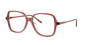 Das Bild zeigt die Oliver Peoples Fassung OV5567U 1790 leicht seitlich.